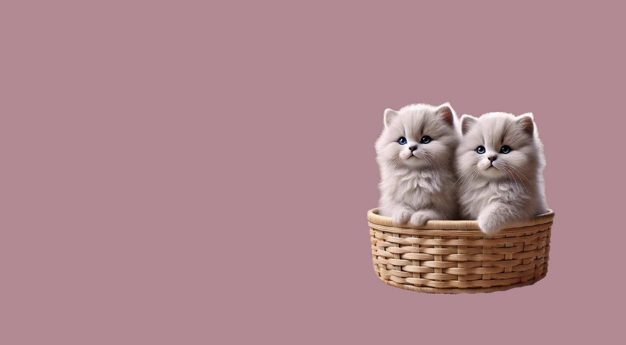 Репродуктолог-Неонатолог